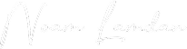Noam Lamdan - Website White Logo
